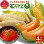 ふるさと納税 【26年7月発送開始】�