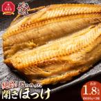 絶品脂ののった 開きほっけ 約1.8kg