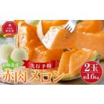 ふるさと納税 高評価★4.9【先行予約】 北海道産赤肉メロン約1.6kg×2玉 (2025年7月中旬から発送予定) | メロン メロン メロン メロン メロ.. 北海道旭川市