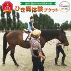 ひき馬体験 4名様分