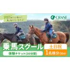 乗馬 スクール 体験 チケット 30分 土日祝
