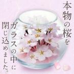 桜のボトルフラワー 久留米絣敷物付き _ドライフラワー