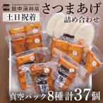 a166-02 真空さつま揚げ8種類8パック詰め合わせ 計37個入り