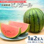 小玉スイカ ピノガール 2玉