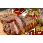 Tボーン ステーキ 1ポンド 460g