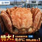 fu.... налог [ Hokkaido самец . блок производство ] очень большой шерсть ..900g передний и задний (до и после) ×1( рефрижератор )[1231603] Hokkaido самец . блок 