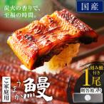 うなぎ ご 1尾