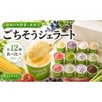 贅沢野菜ジェラート 6種