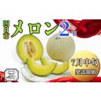 ふるさと納税 【先行予約】阿部夫妻が愛情をこめたマスクメロン(2個入)【7月中旬発送開始】 三重県四日市市