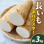 長いも ネバリスター 3kg1箱