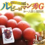ルビーロマン 秀G 1箱