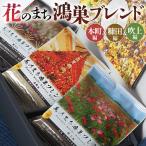 Bista Cafe 花のまち鴻巣ブレンド3種セット
