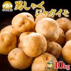 じゃがいも 男爵 Lサイズ