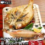 のどぐろ 開き干し 笹カレイ 一夜干し かれい 2種
