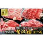 神戸牛 12回定期便 モモ肩ロース 冷蔵