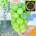 ふるさと納税 【2025先行予約】フルーツ王国笛吹市のシャインマスカット2房1.3kg 137-001 山梨県笛吹市