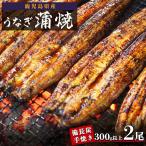 大隅産 うなぎ 備長炭手焼蒲焼2尾 合計300g以上