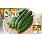 fu.... налог [ предшествующий предварительный заказ ][ есть перевод ] время ограничено солнце. свет sun sun ....[SunSun огурец ] 2kg и больше [2026 год 7 месяц сверху . после последовательный отправка ][.. овощи.. Fukui префектура Echizen блок 