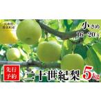 ふるさと納税 【先行予約】【梨 20世紀梨 香住梨 5kg 小さめ(1玉250g〜300gを16〜20玉)】大人気 ふるさと納税 おすすめ 返礼品 ランキング 二.. 兵庫県香美町