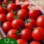 フルーツミニトマト くれまるこ 1.2kg