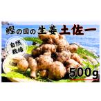 生姜 500g
