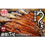 三河一色うなぎ蒲焼き5尾