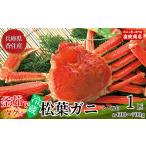 松葉がに かに カニ 蟹 ズワイガニ 脚 足 爪 身