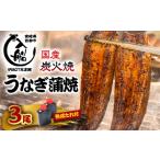 ふるさと納税 明治27年創業 炭火焼一筋『うなぎの入船』【国産うなぎ】かば焼3尾　熟成たれ付＜3-9＞ 宮崎県西都市