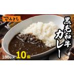 ふるさと納税 【スピード発送】焼肉屋の黒毛和牛カレー 180g×10個【レトルト 惣菜 お試し 本格かれー 簡単調理 防災 備蓄 小分け】 大阪府泉佐野市