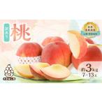 ふるさと納税 【訳あり】桃 約3kg (7玉〜13玉) 山梨市産 桃【配送不可地域:離島・沖縄県】【1395537】 山梨県山梨市