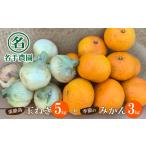 fu.... налог название рука сельское хозяйство .. Awaji Island Special производство сезон. сельское хозяйство . комплект [ Awaji Island производство шар лук порей 5kg. сезон. мандарин 3kg] Hyogo префектура .. город 