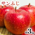 りんご サンふじ 約3kg