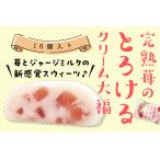 大福いちご クリーム 16個