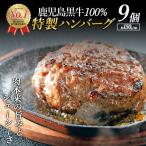鹿児島黒牛特選ハンバーグ9個入り chuzan-7012