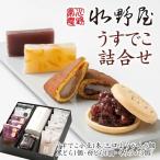 老舗 水野屋 うすでこ詰め合わせ 和菓子