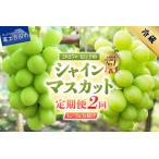 ショッピングふるさと納税 先行予約 ふるさと納税 【 2024年 先行予約 】【 2回 定期便 】 ジューシーで甘さ抜群 厳選 シャインマスカット 1kg×2回 配送 果物 フルーツ 旬 .. 山梨県富士吉田市