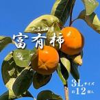 富有柿 青秀以上3Lサイズ12個入り