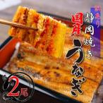 訳アリ 鰻 蒲焼 2尾