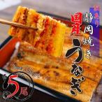 訳アリ 鰻 蒲焼 5尾