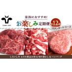 ふるさと納税 【12回定期便】家族向け お楽しみ 定期便/ 牛肉 [IAH211] 佐賀県白石町