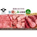 ふるさと納税 【6回定期便】家族向け お楽しみ 定期便プレミアム/ 牛肉 [IAH213] 佐賀県白石町