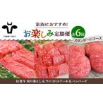 ふるさと納税 【6回定期便】佐賀牛 少人数 家族向け お楽しみ 定期便 /牛肉 お肉 肉 切り落とし ステーキ ハンバーグ 食べ比べ 詰め合わせ 九州 .. 佐賀県白石町