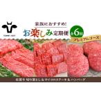 ふるさと納税 【6回定期便】佐賀牛 家族向け お楽しみ 定期便 / 牛肉 [IAH219] 佐賀県白石町