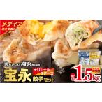 ふるさと納税 宝永オリジナル＆チーズ餃子セット【宝永餃子 500g×2袋・チーズ餃子 375g×3袋】　T004-002 餃子 ぎょうざ 冷凍餃子 チ.. 北海道苫小牧市