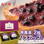 T044-008 果物 加工食品