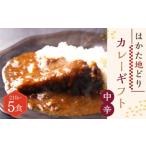 はかた地どり カレー 計1050g