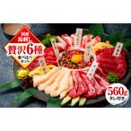 ふるさと納税 馬刺し 6種 食べ比べ 計560g 赤身 霜降り 中トロ ユッケ たてがみ ふたえご ロース 専用醤油 ブロック 冷凍 生食用 プレゼント 贈.. 熊本県熊本市