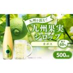 九州を飲む 九州果実 シロップ 日向夏 500ml