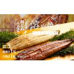 うなぎ 朝じめ鰻 溶岩焼き コンビセット 約140g×2尾