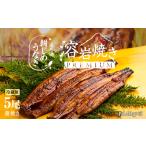 うなぎ 溶岩焼き 蒲焼き 5尾